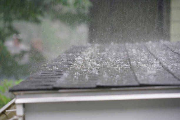 Best Flat Roofing  in Quitman, TX