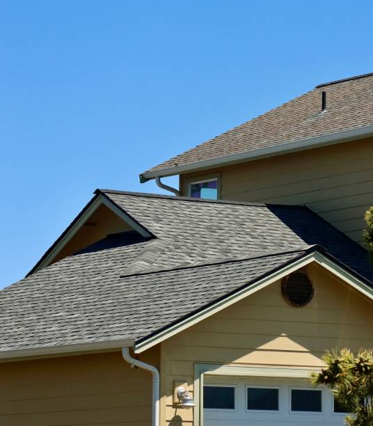 Best Storm Damage Roof Repair  in Quitman, TX
